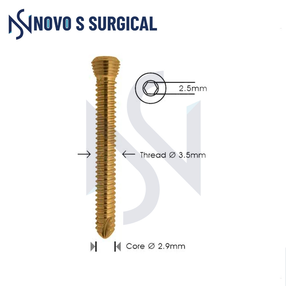 Rib Pelvic & Foot Implants